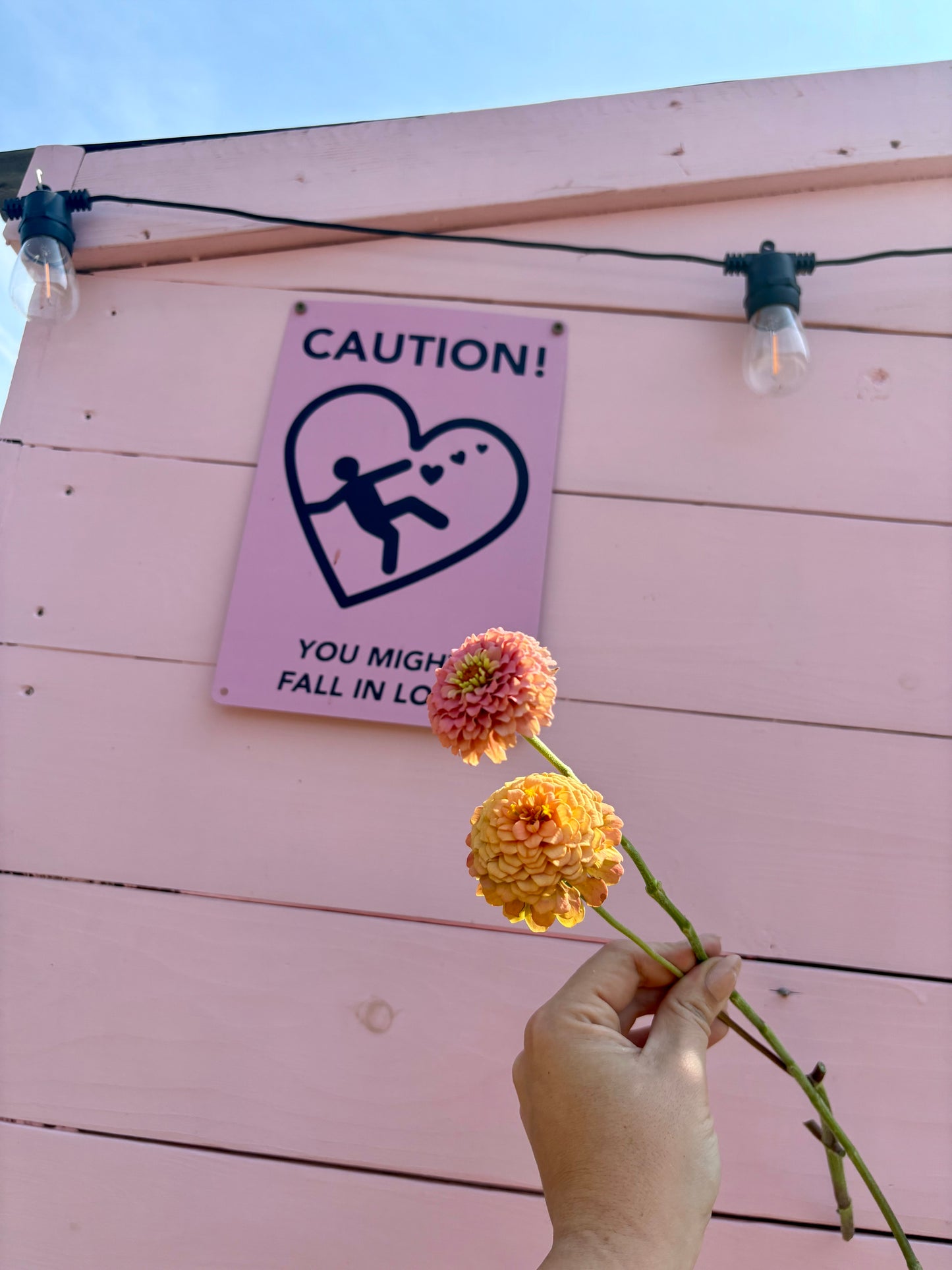 June thru October Roadside Stand- Self Serve