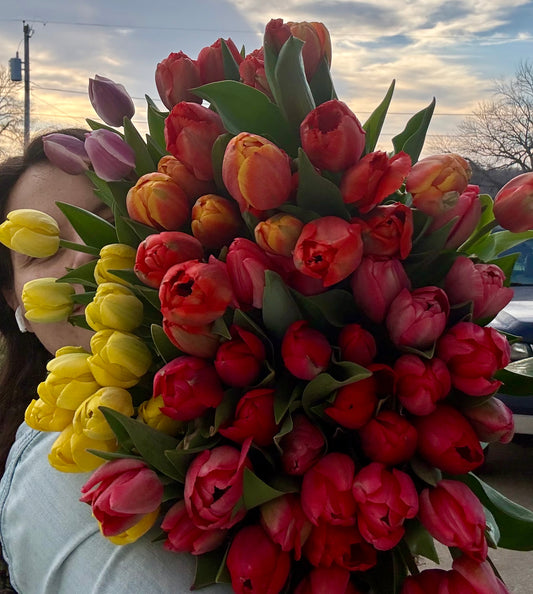 Laura Lee Studio's - Carrollton, MO