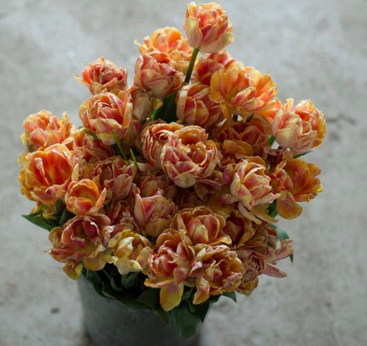 Easter pre order 2026