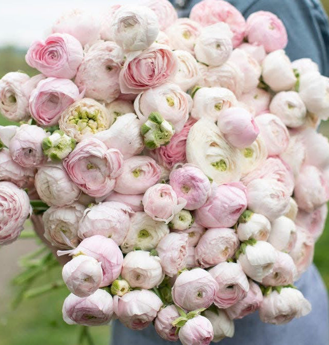 Mother’s Day 2026 pre order